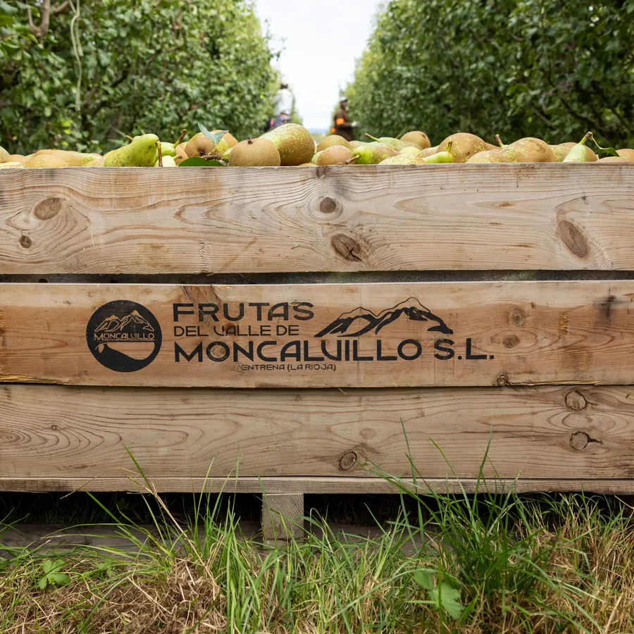 Palot de madera lleno de peras con el rótulo Frutas del Valle de Moncalvillo S.L., Entrena (La Rioja)